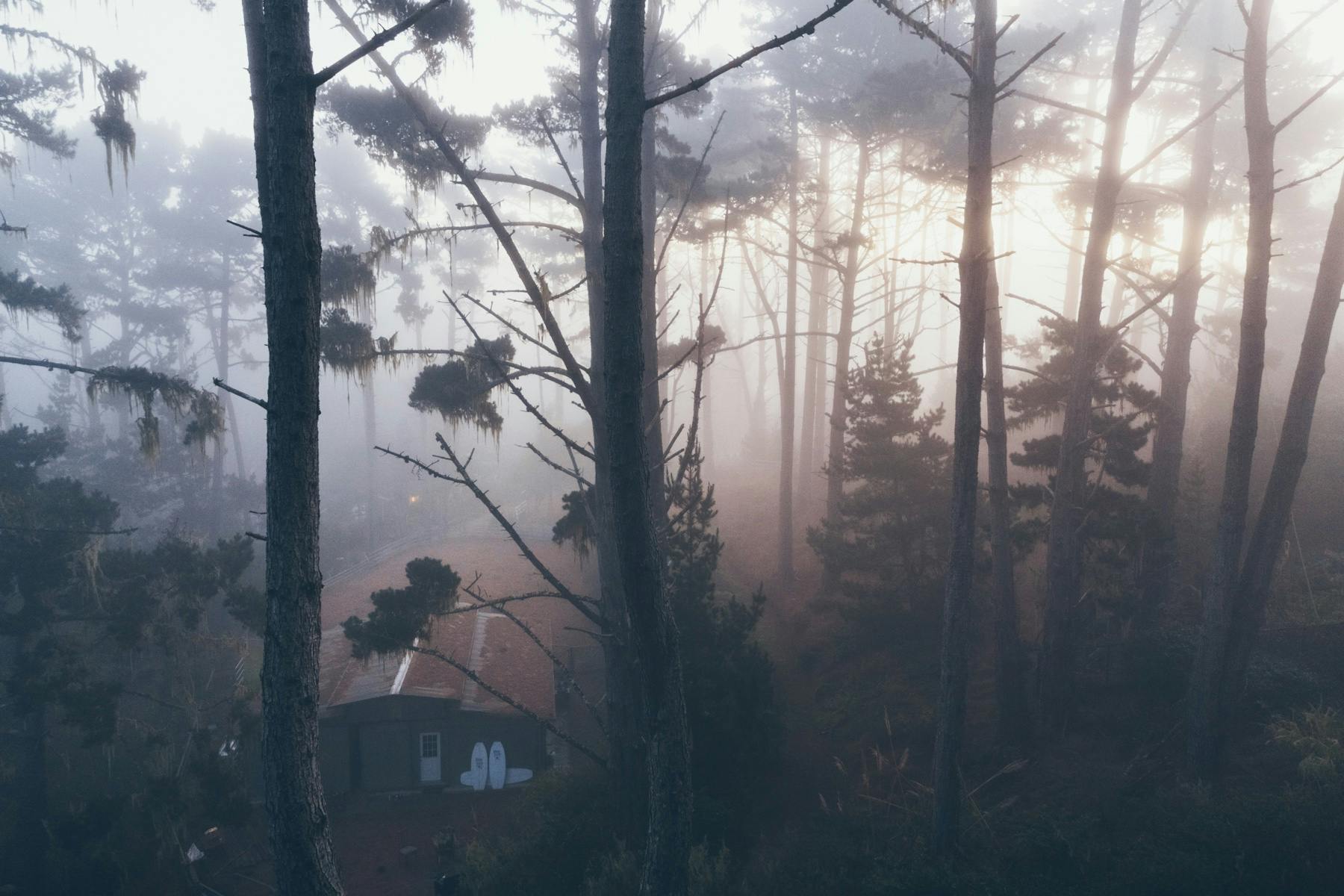 Elevated view of a surfboard shaping room in a foggy forest landscape captured by Ryan "Chachi" Craig