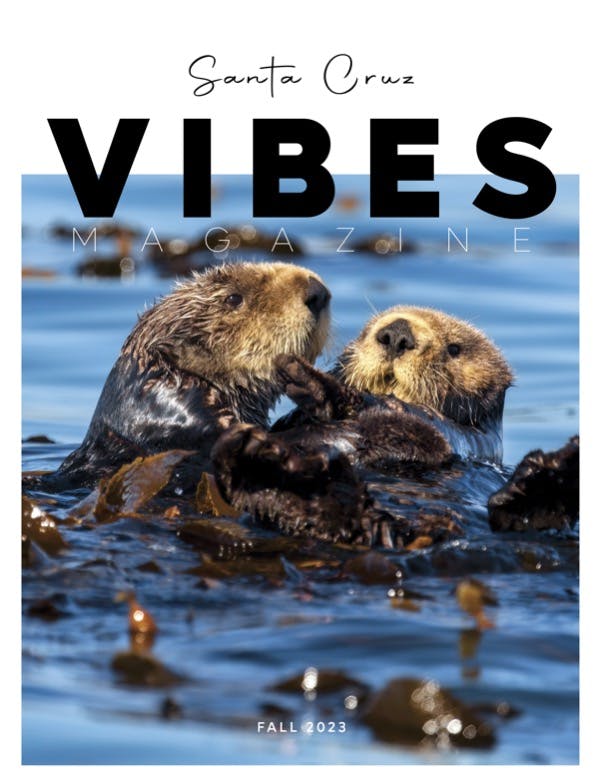 Santa Cruz Vibes Magazine Issue 2 for Fall 2023 cover showing two sea otters in the Pacific Ocean