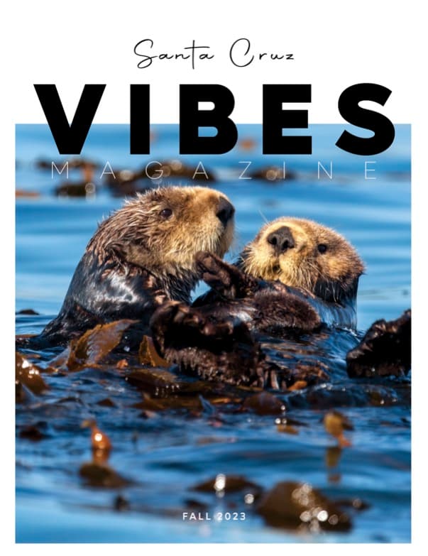 Santa Cruz Vibes Magazine Issue 2 for Fall 2023 cover showing two sea otters in the Pacific Ocean