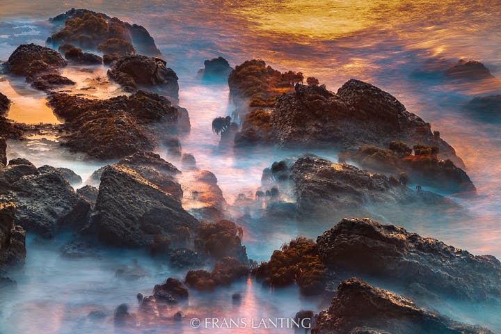 Reefs at dawn, Pigeon Point, Monterey Bay, California, USA photo by Frans Lanting
