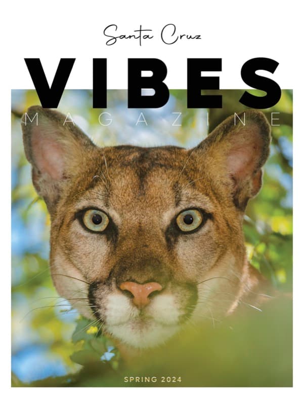 Santa Cruz Vibes Magazine Issue 4 cover with a mountain lion