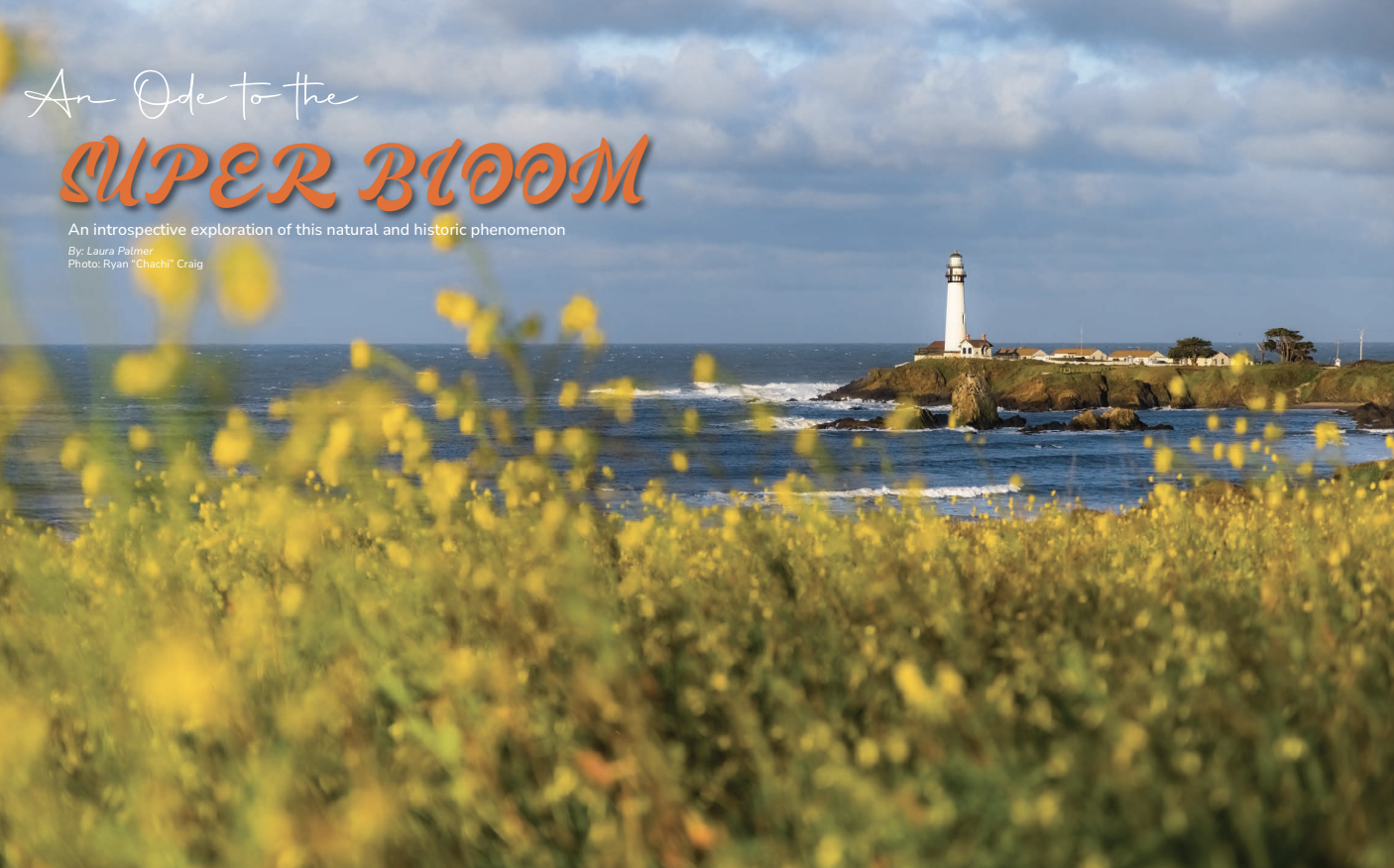 Blooming flowers and the HI Pigeon Point Lighthouse along the coast of Pescadero, CA located just north of Santa Cruz