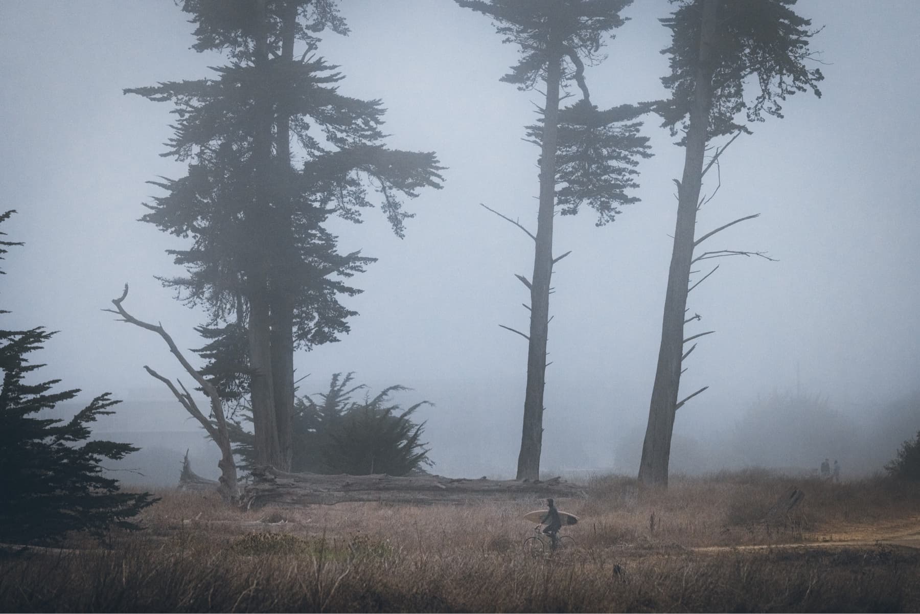 A surfer carries his board while riding his bicycle through Lighthouse Field in Westside Santa Cruz, CA on a foggy morning