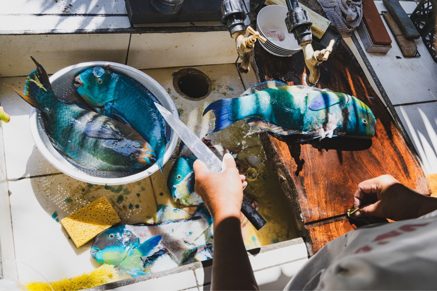 A man holds a knife while cleaning fish