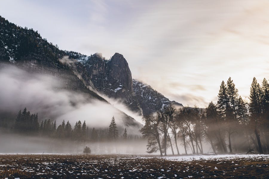 A snowy landscape at Yosemite National Park