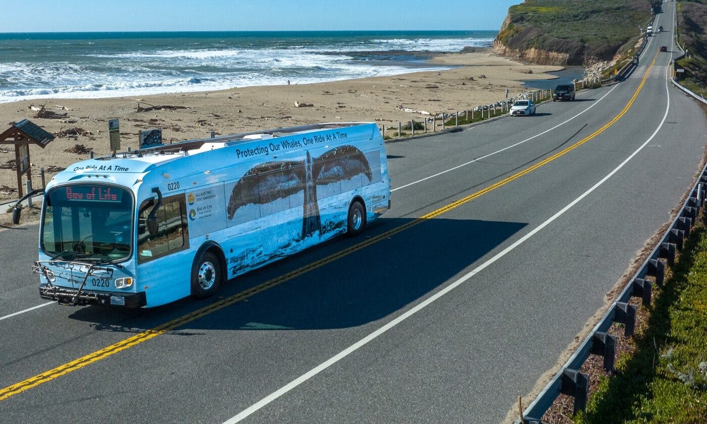 Santa Cruz METRO bus driving along Highway 1 coast with wallpaper of whale's tail