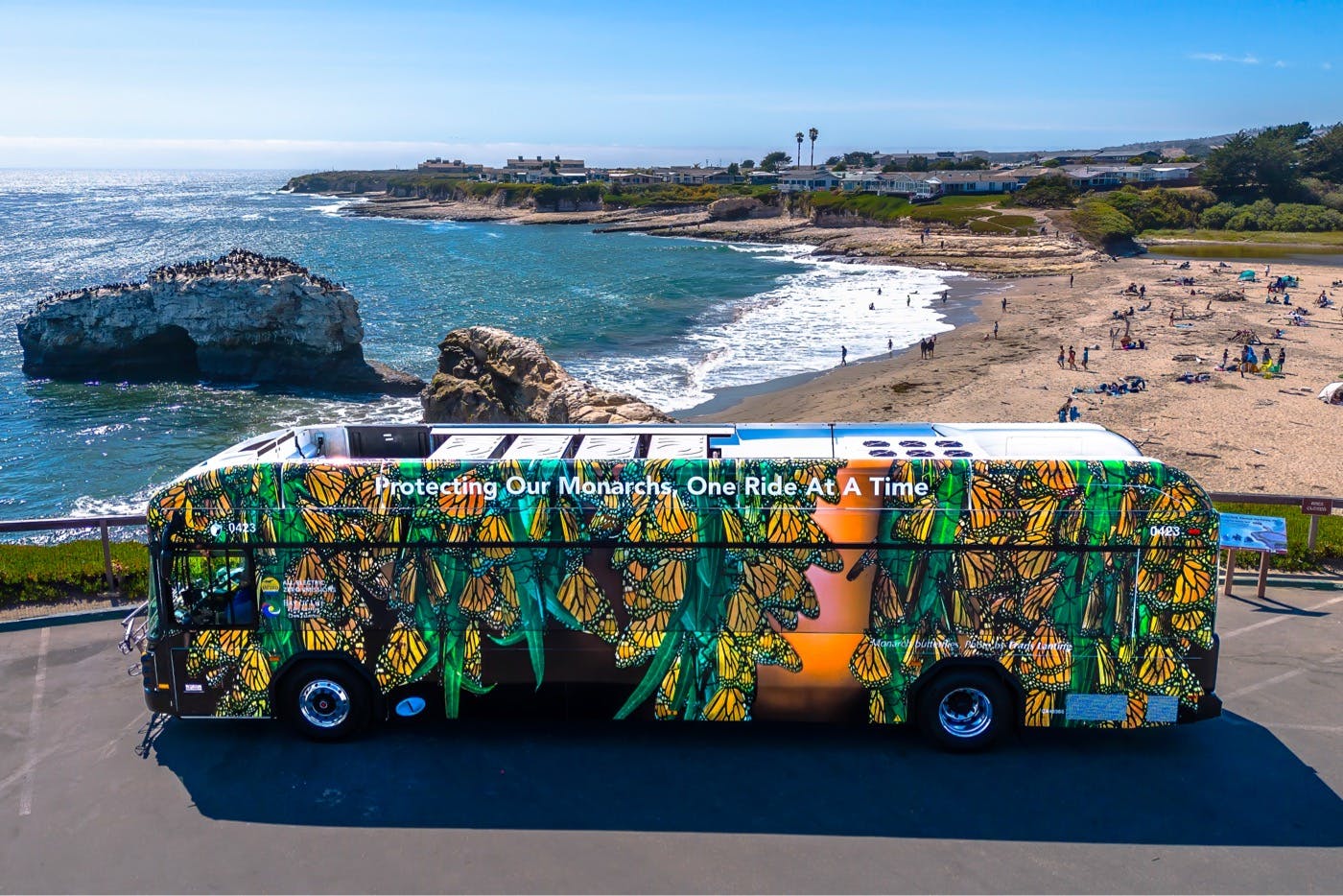 A Santa Cruz Metro bus displaying a wallpaper of monarch butterflies parked in front of Natural Bridges