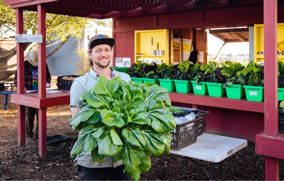 An attendant of the Santa Cruz Homeless Garden Project holds a large bundle of swiss chard while smiling