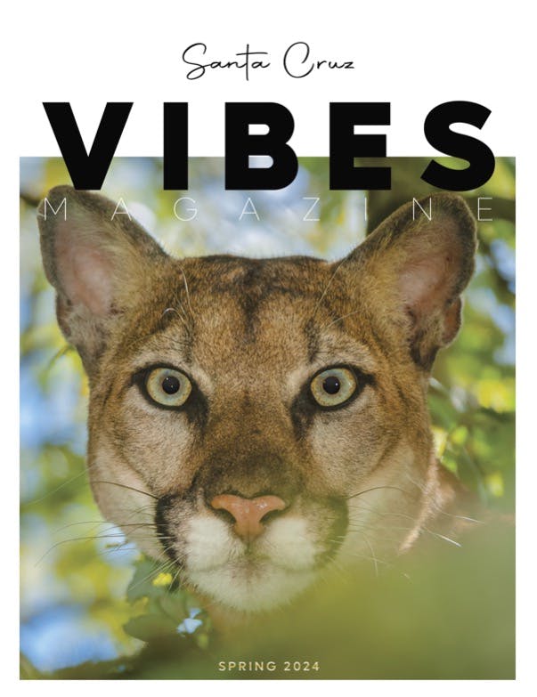 Santa Cruz Vibes Magazine Issue 4 cover with a mountain lion