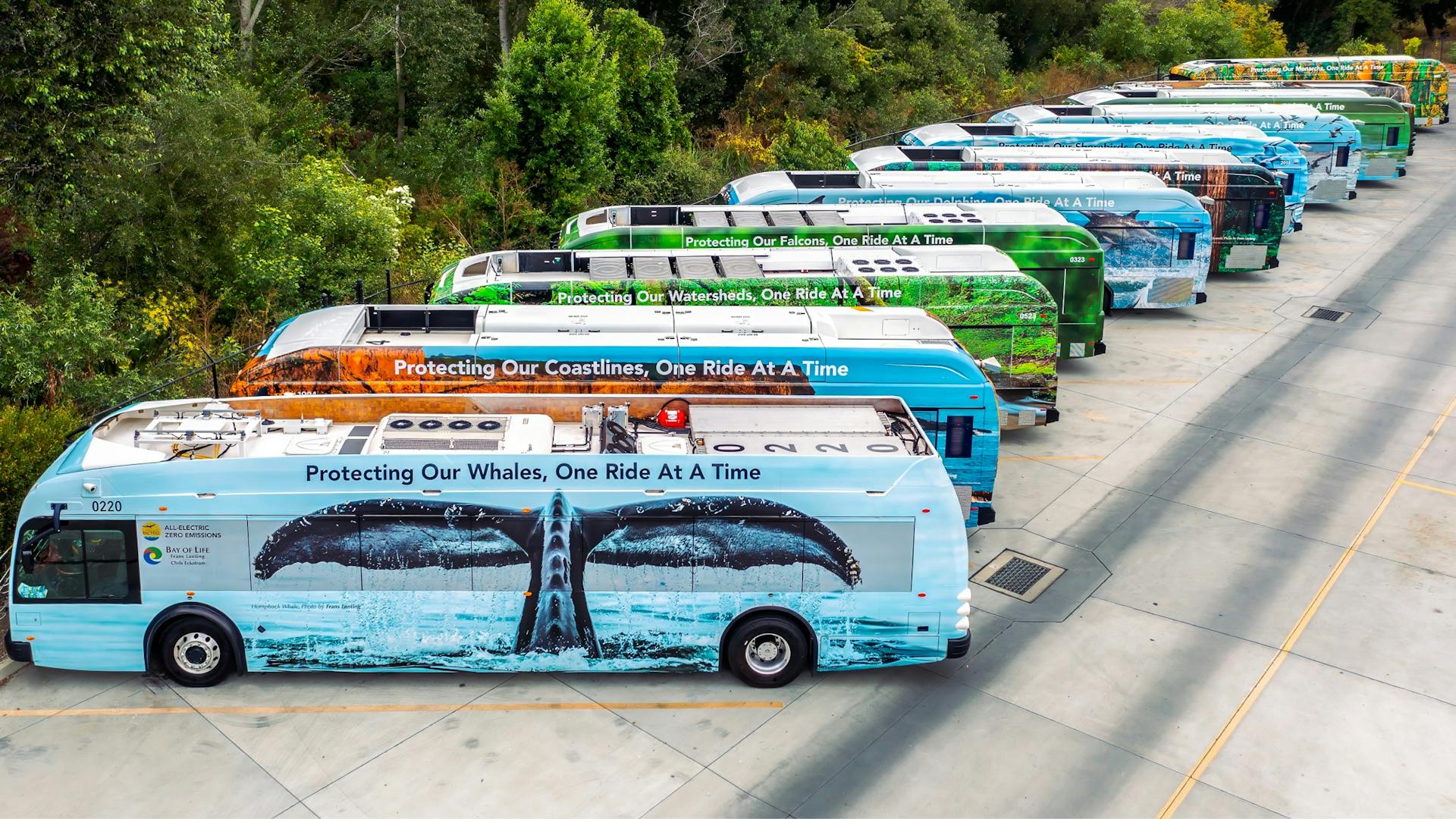 A row of Santa Cruz METRO buses with the One Ride At A Time campaign wraps including various nature photographs
