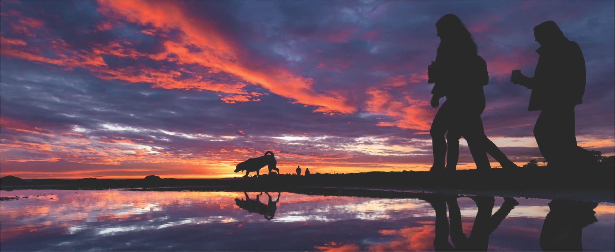 A Santa Cruz Sunset with people walking a dog near the water